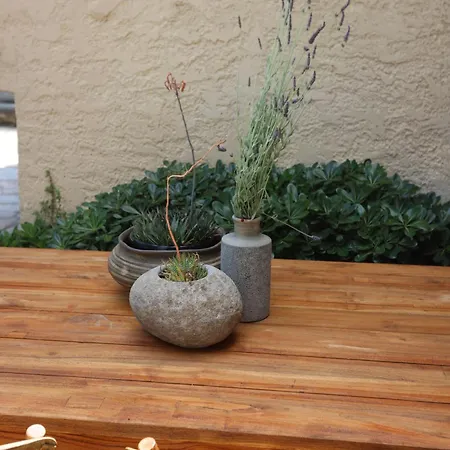 Tropicalia كريوبيجي