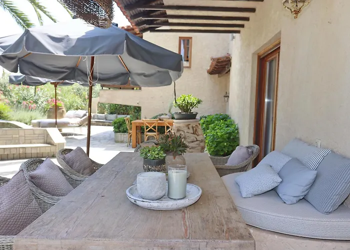 Tropicalia 克里皮吉