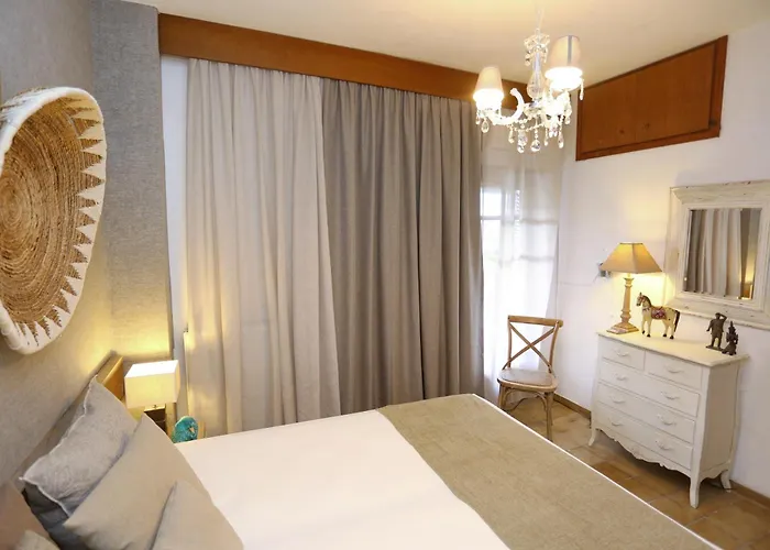 Tropicalia 克里皮吉